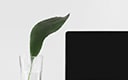 Website Feedback