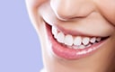 Dental Patient Survey