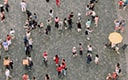 Demographics Survey
